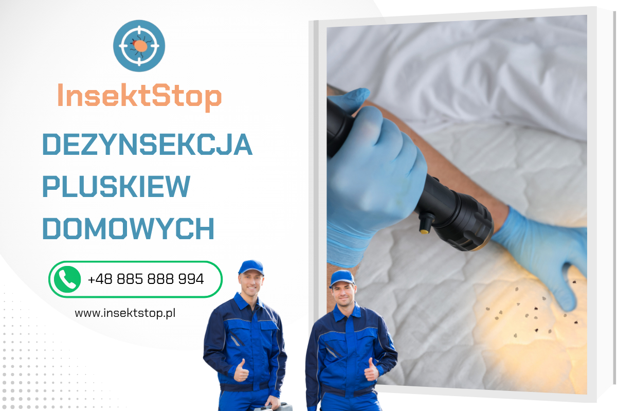 zwalczanie pluskiew insektstop.pl